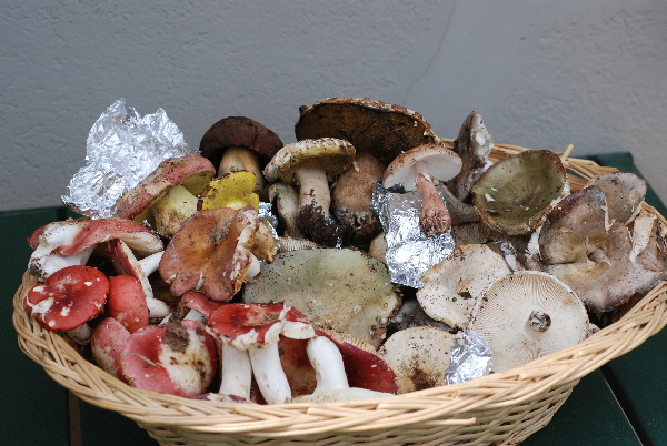 uscita 26 maggio 2009 in cerrina